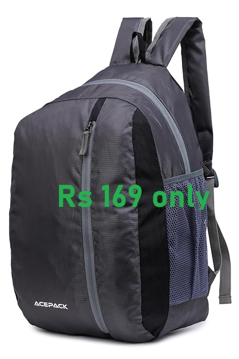 ACEPACK Daypack Bag 2