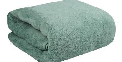 Extra Soft Plush & Quick Dry High Towels at just Rs 289 (71% Discount) @Amazon